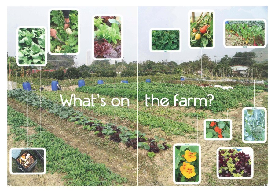 Milk B-Spring 2015 No.26. p4