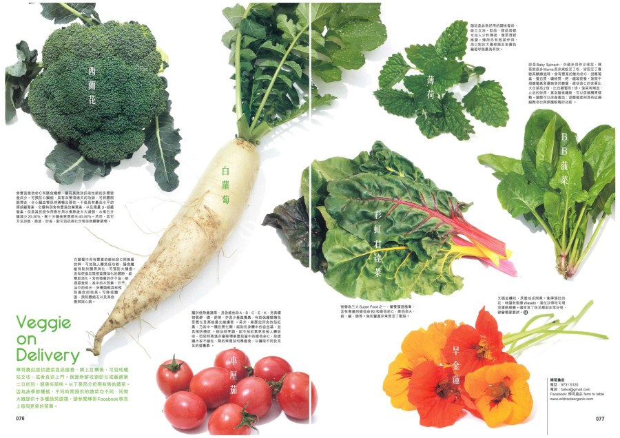 Milk B-Spring 2015 No.26. p5