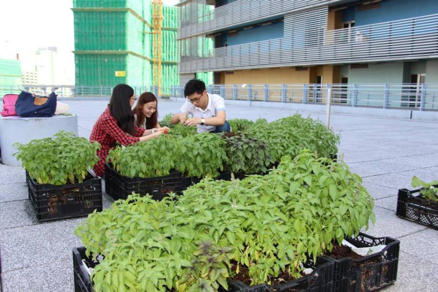 10150806_10153437546125990_4606830442026444634_n