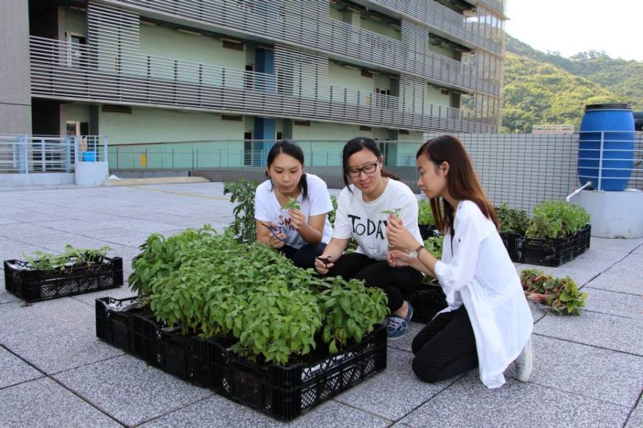 11058154_10153437546350990_8191050952726177763_n