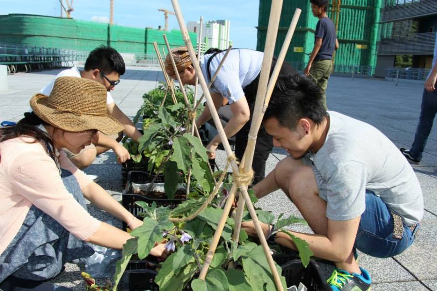 11427787_10153437546100990_7105828276642343372_n