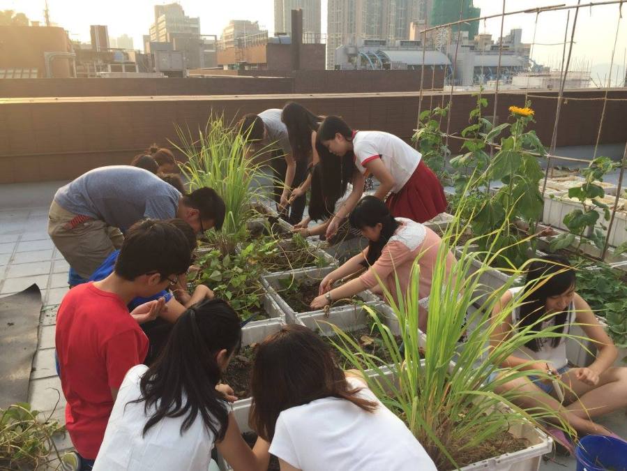 12095313_10156050792020648_7238985497309882045_o