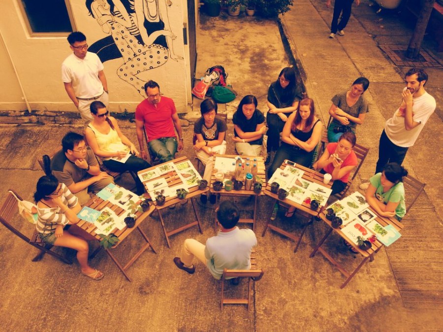 Plantation. May 2013