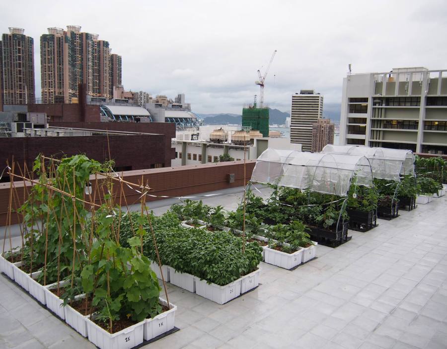 10001250_10152037057129109_8937879254940692474_o