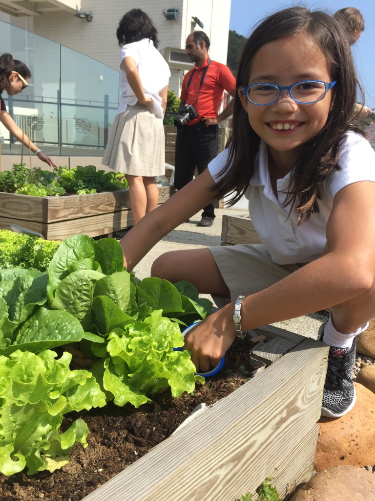 CDNIS farming workshop